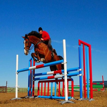 Reaseheath Equine tweet media