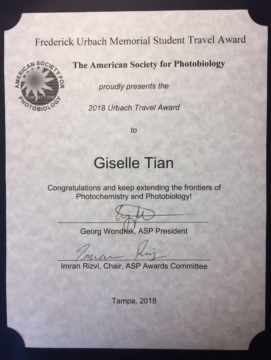 Giselle Tian （允娴） tweet media