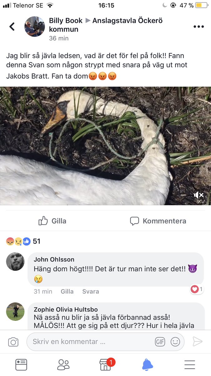 Man vill ju verkligen halshugga en del människor