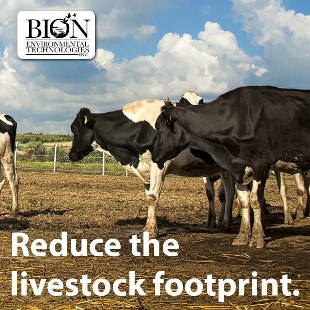 Bion: over 25 years of proven solutions. Our third-generation #AgTech cleans up #beef, #dairy, #swine, #poultry #manure. High-value co-products too. buff.ly/2FR5c6o
#invest #cleantech #innovation #sustainable #renewable #agriculture