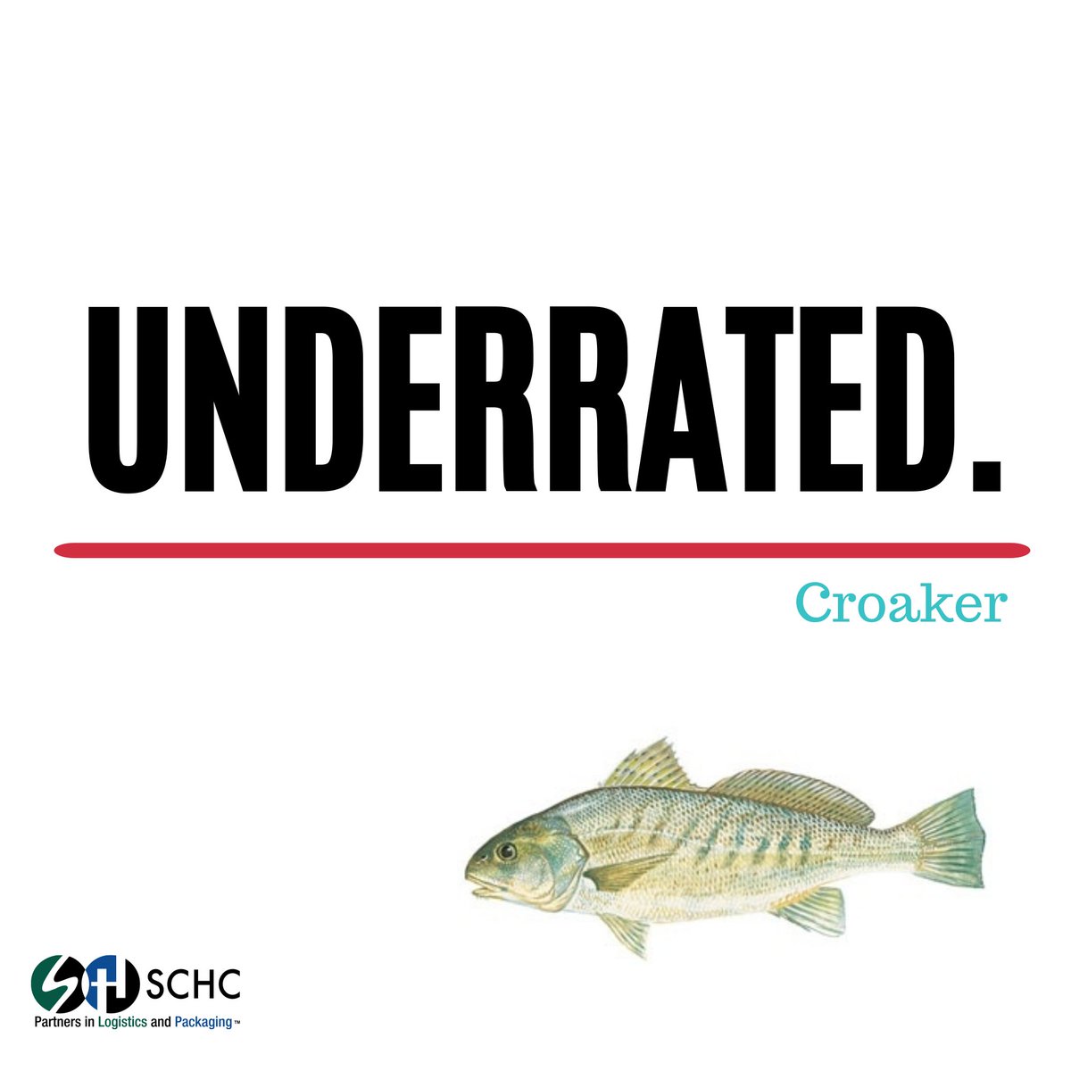 SCHC_Partners's tweet photo. There are plenty of #fish in the sea!Get out the box and try some #UnderratedFish, such as #croaker. Also called βfrogfishβ, it has taste & texture similar to #trout: https://t.co/OCtDnmg6T9 | Via @ALSeafood | #SCHC #Packaging #Corrugated #Cardboard #boxes #EatFish #Seafood2xWk https://t.co/UUL5pXSxvh