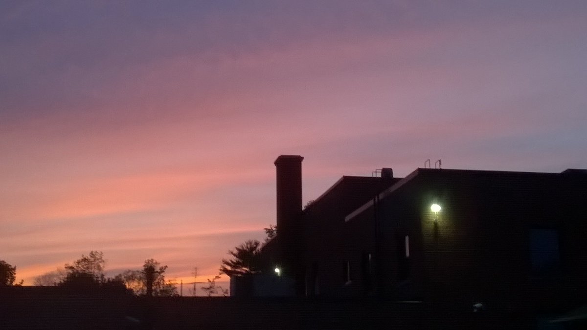 Volunteer4Birds's tweet image. Lovely #SWiftWAtch sunset last night.  On top of a wonderful sunset and several Chimney Swifts, I was able to enjoy a Common NightHawk.
