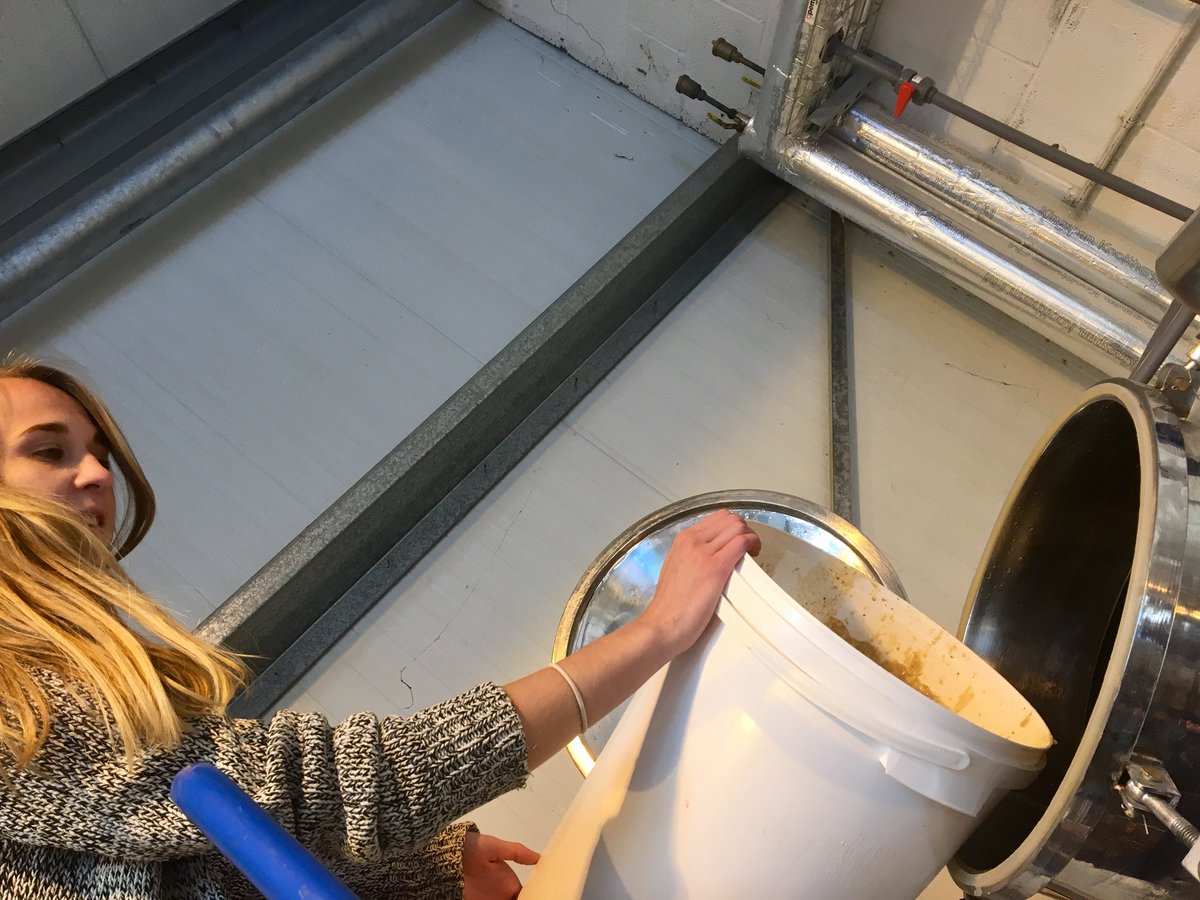 steph_brindley's tweet image. And now, of course, the yeast! #PVNextGen @BrewstersBrew @Imogen_Ramsey1