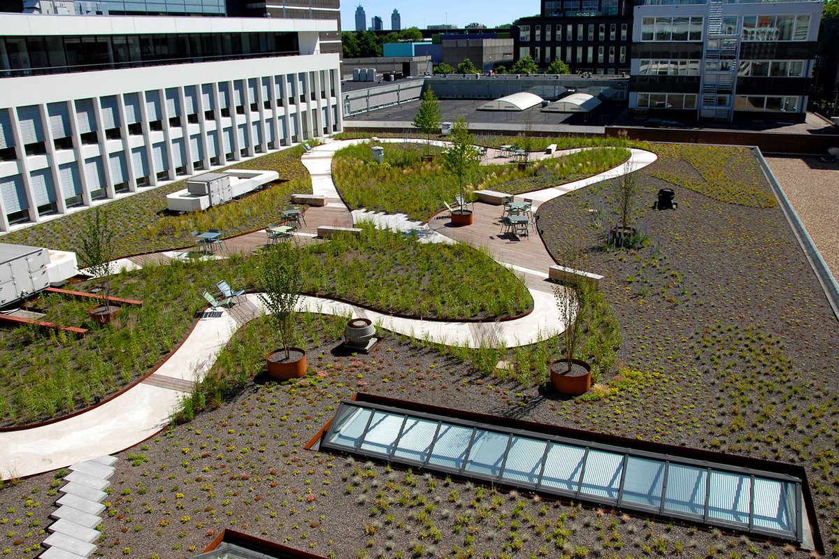 CeesAnton's tweet image. Wat is een dakgraaf? 🤷‍♂️ Het antwoord op deze en andere vragen over m'n overstap van @nelenschuurmans naar @Polderdak vind je hier: linkedin.com/feed/update/ur…
#dpra @waterschappen #klimaatbestendig #waterberging