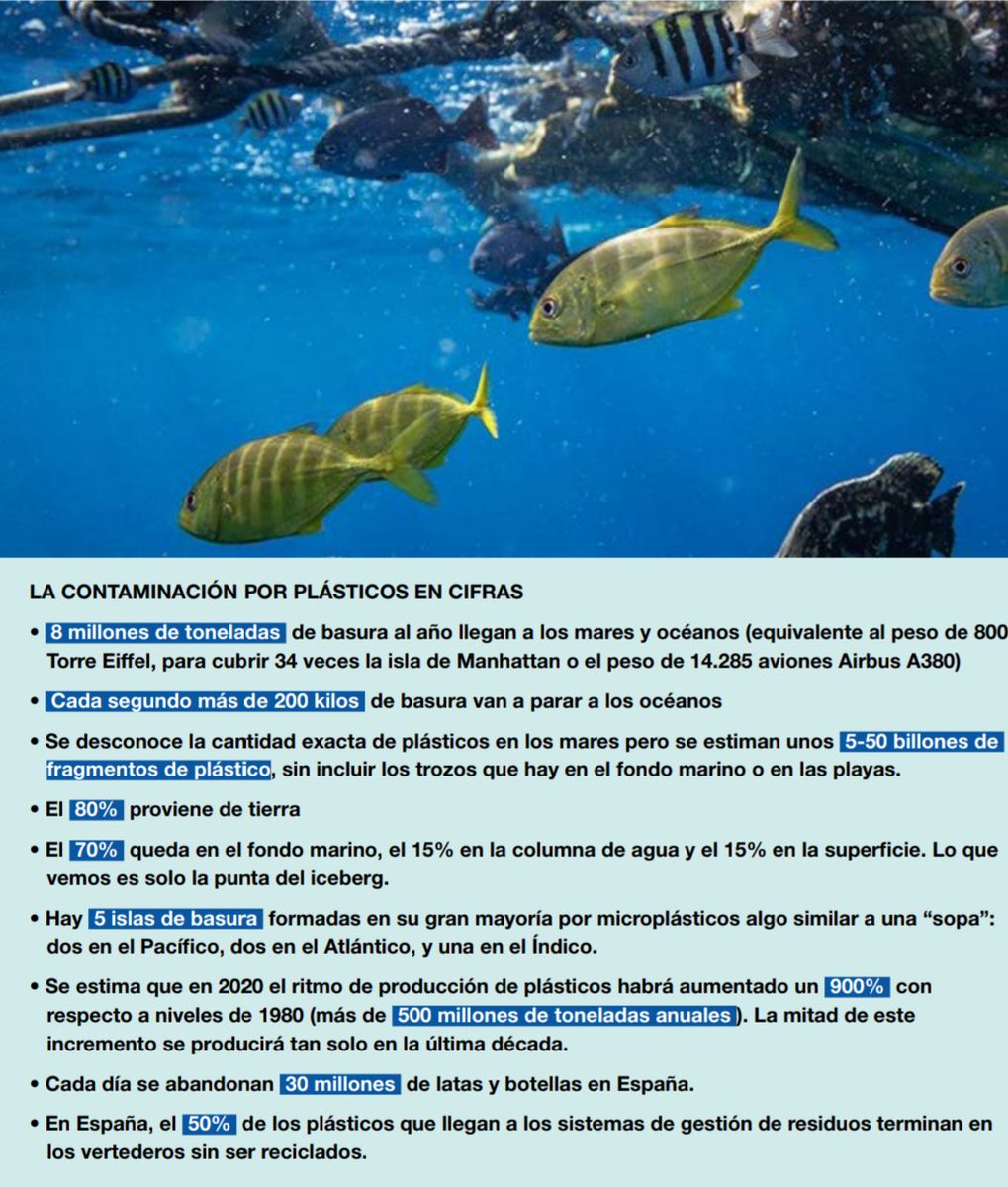 ambienteayuda's tweet photo. La contamianción en cifras...
@ODSprof 
#Estaentusmanos https://t.co/sIFkk2zsVn