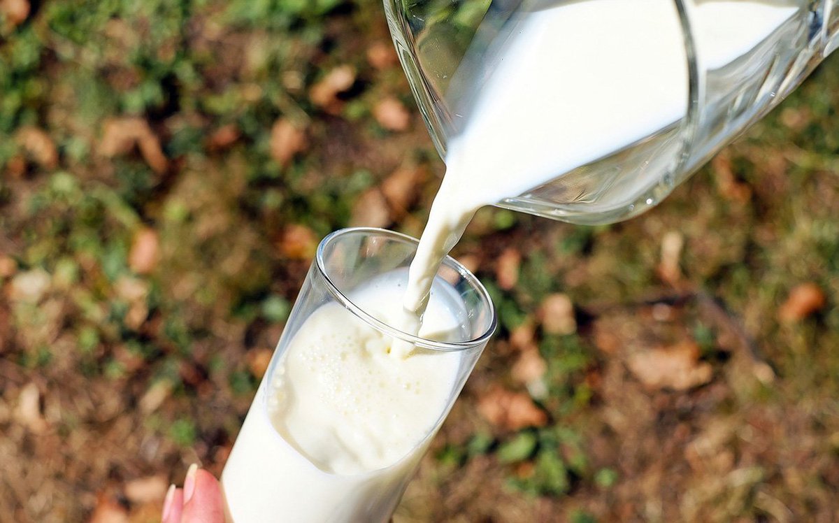 fsenl's tweet photo. @hollanddairy #Ethiopia secures @FrieslndCampina investment: https://t.co/UZyBBqESjN https://t.co/WR49fxE4iL