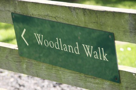 SouthMeadows1's tweet photo. Woodland walks right on the doorstep and close by South Meadows ... https://t.co/c5dGdk34Oi https://t.co/tZtaayMIfC