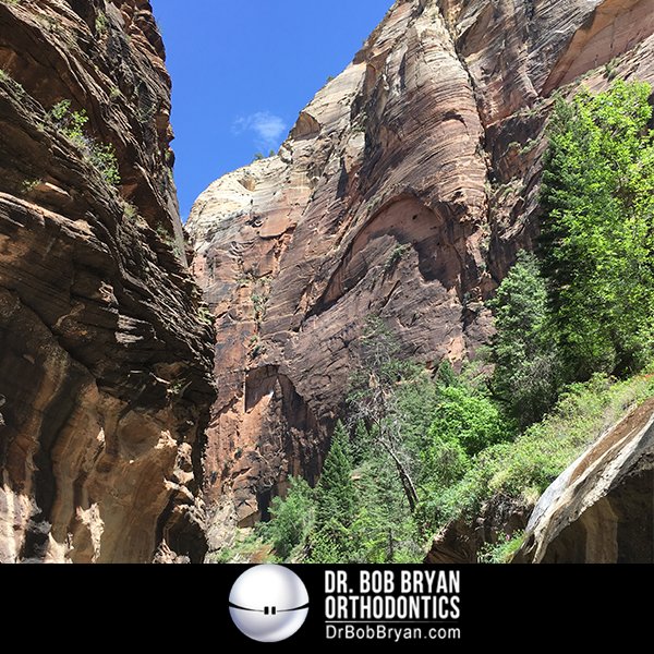 DrBobBryan's tweet photo. Zion National Park! #LehighValleyOrtho https://t.co/gMKUZ01WC0