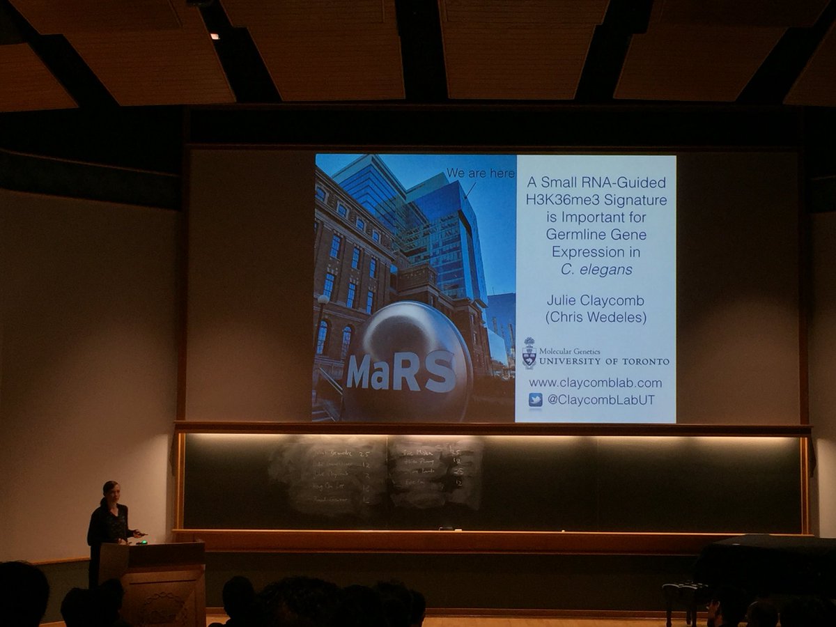 Dr. Amanda Charlesworth 🏳️🌈 tweet media