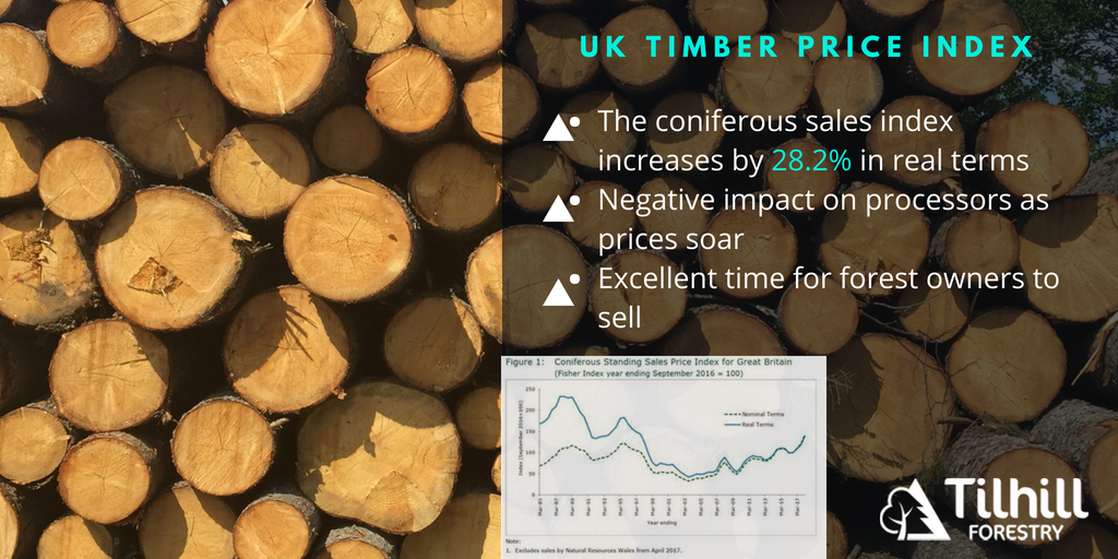 TilhillForestry's tweet photo. Index moves to new heights. @ForestryCommEng publishes latest statistics on Timber Price Indices. See in full here > https://t.co/ghulJGeIUh #timberprices #timber #forestry https://t.co/VPsdJd71nM