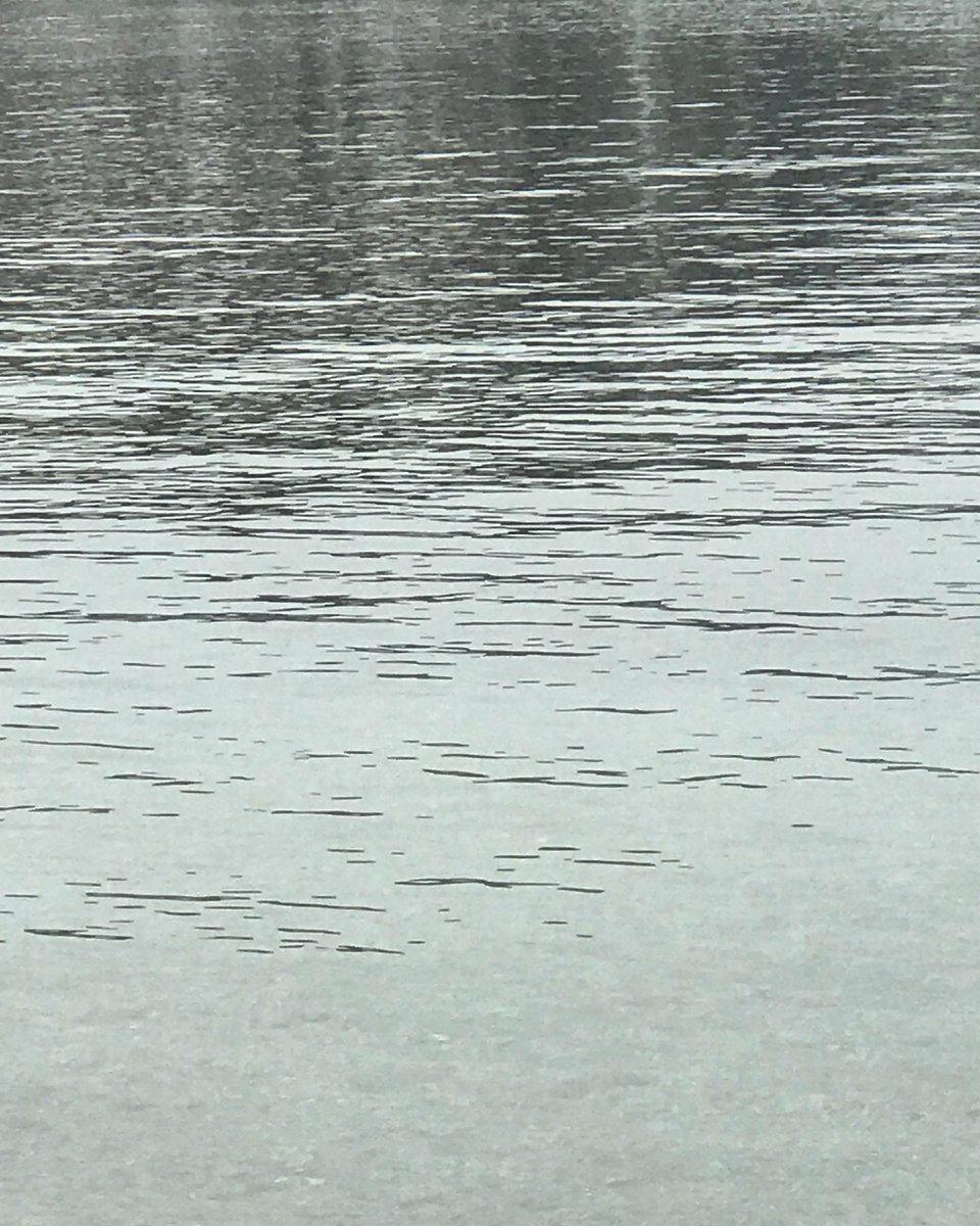 ozlemyalim's tweet image. #silvergray #lightonsea #bodrum #longweekend