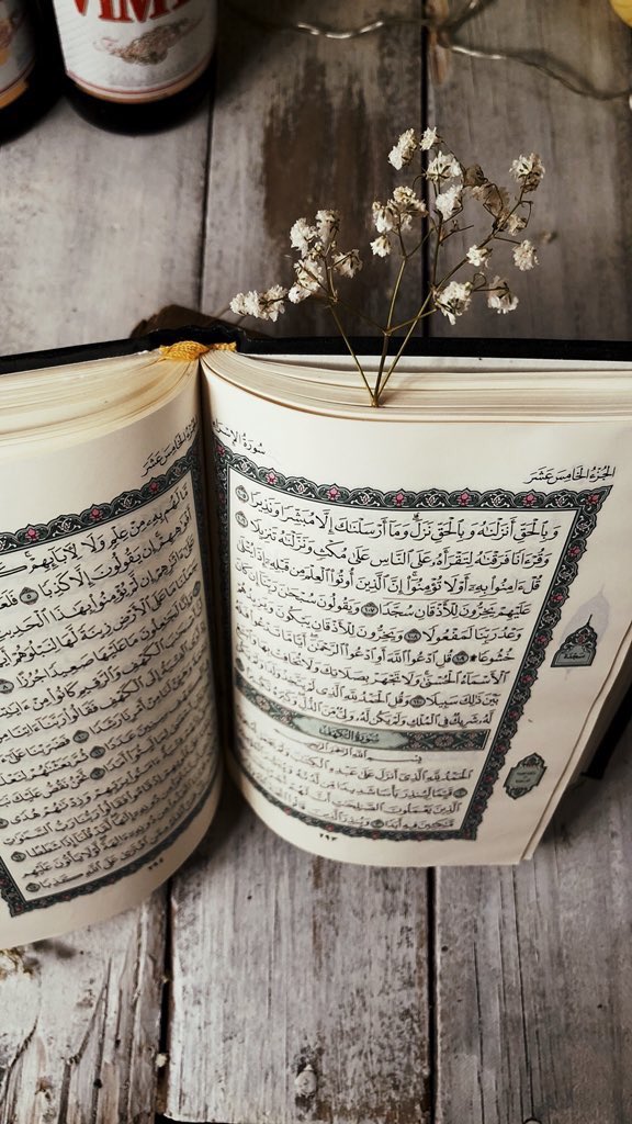 البدر الهلالي tweet media