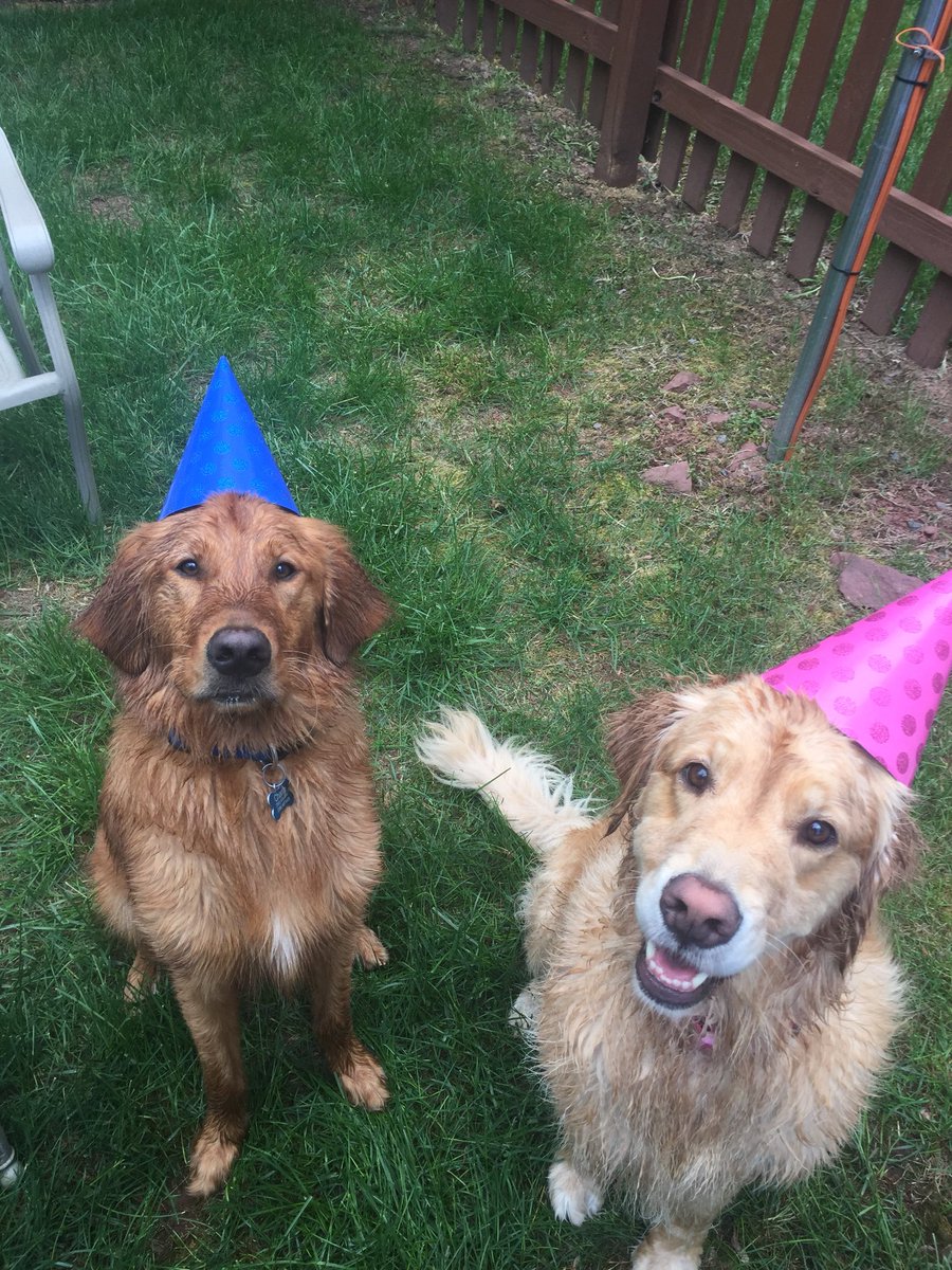 mcrowder65's tweet image. #nationjs pet pic. Charlie celebrating his birthday last Saturday!!