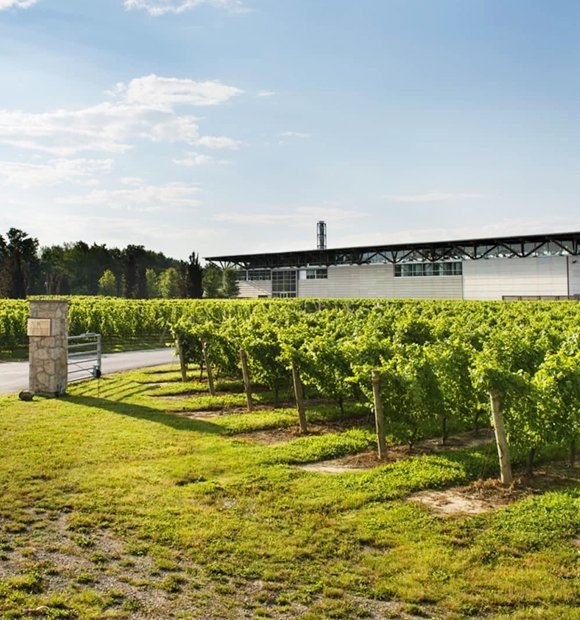 thewdish's tweet photo. Are you a wino with an itch to travel? 🍷🍷🍷
We've rounded up the 12 best travel destinations for wine enthusiasts: https://t.co/DGmJhzq0Dp https://t.co/dlY4FXdSet