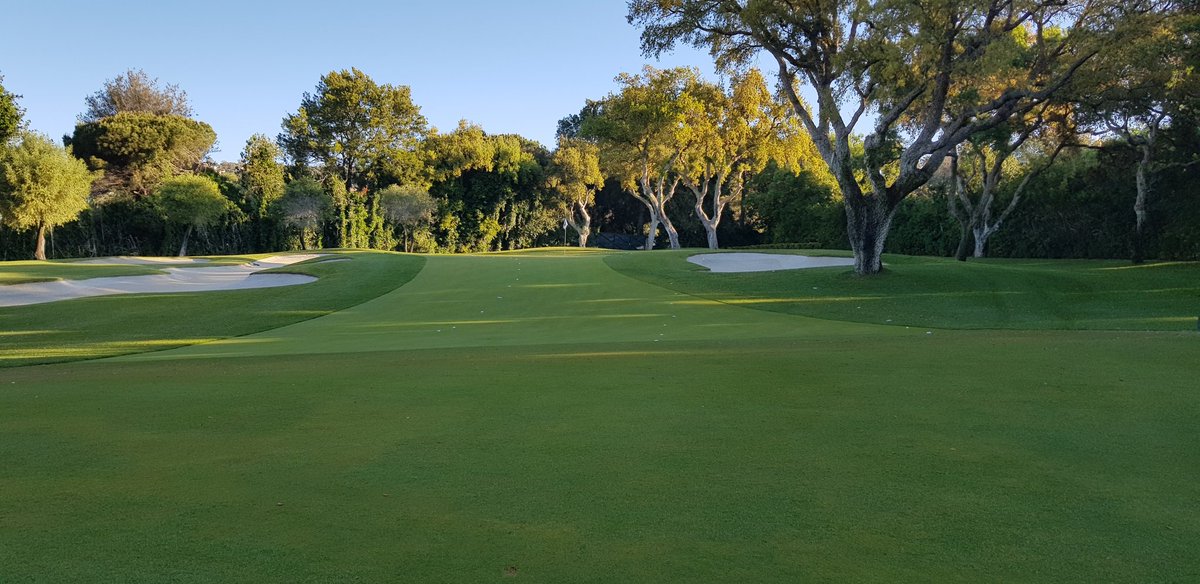 AgronomyRCV's tweet photo. Ready for our Member Guest! @RcValderrama
#Valderrama #Golf @EuropeanTour @valderramasters #Sotogrande https://t.co/n6va68PTHF