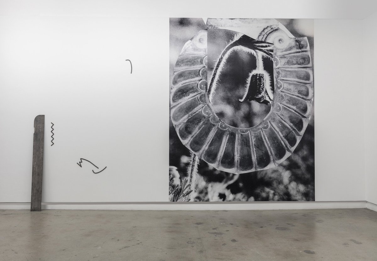 Jusqu'au 9 juin, Marie-Michelle Deschamps et Eléonore False déploie un  dialogue autour de l’œuvre littéraire de Robert Walser "Le Territoire du  crayon".
.
.
© Maxime Brouillet 
#galeriediagonale #exposition #artcontemporain #contemporaryart #canadianart  #montreal  #mileend