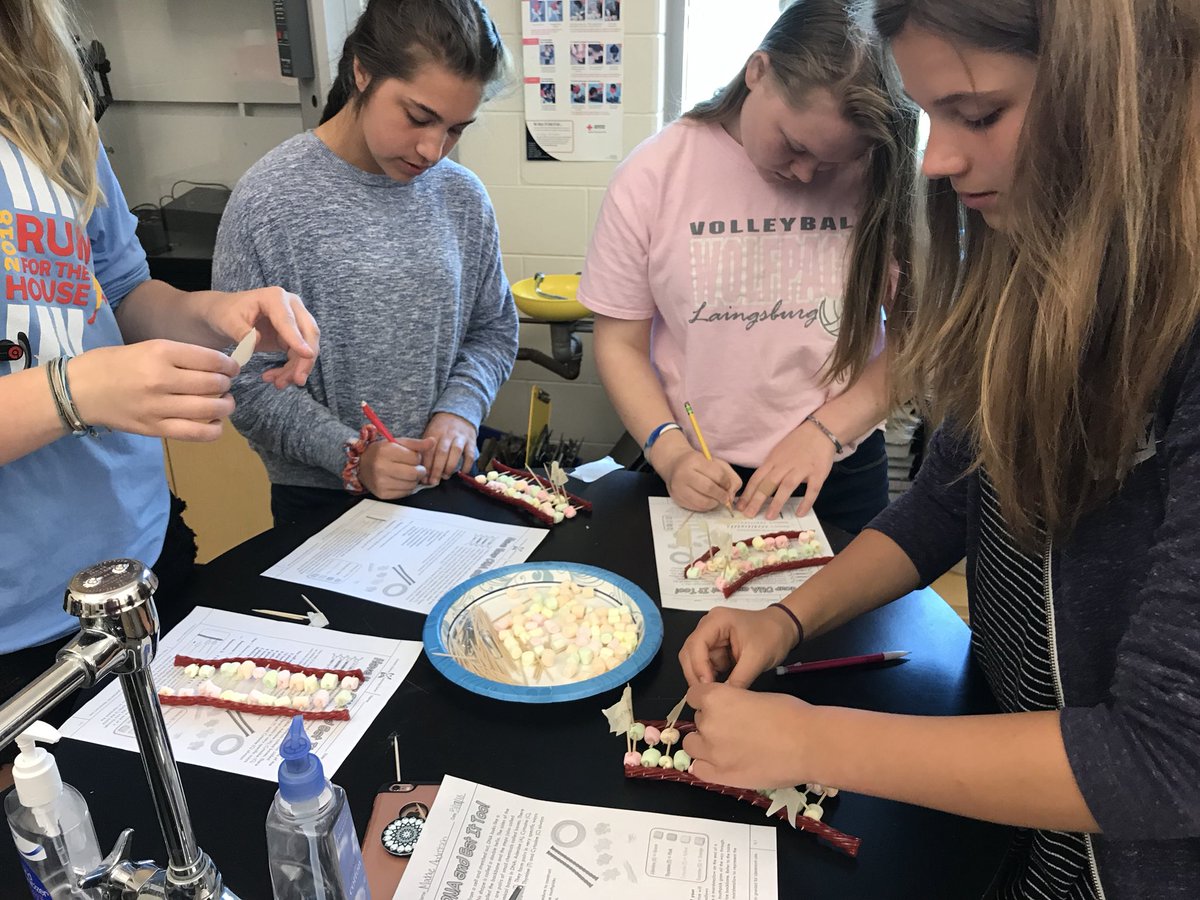 LMSWolfpack's tweet photo. Have your DNA and eat it, too!  #scienceiscool #lmsscience https://t.co/9w9oKKcwnm