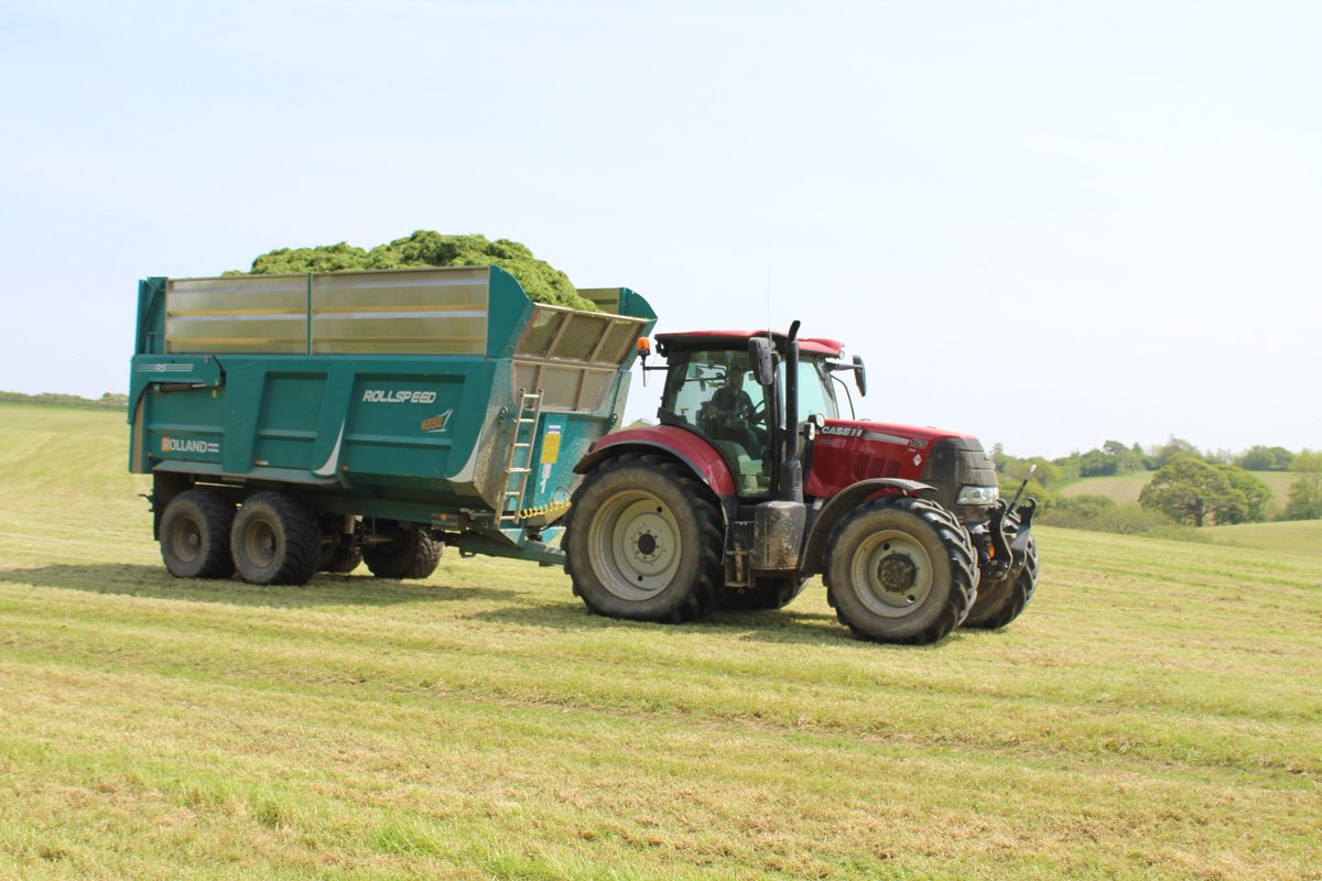 Allen Horrod tweet media