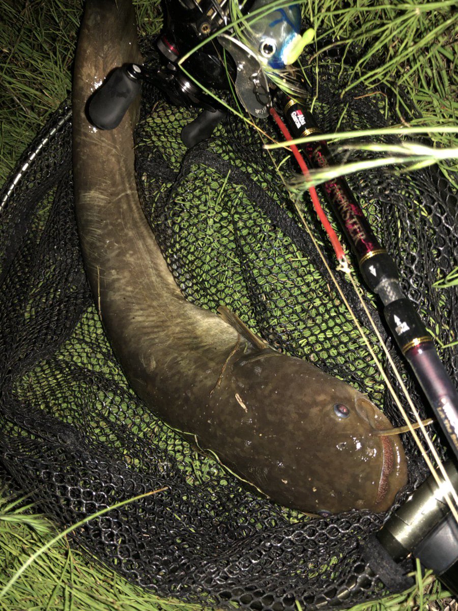 ワールドモンスター