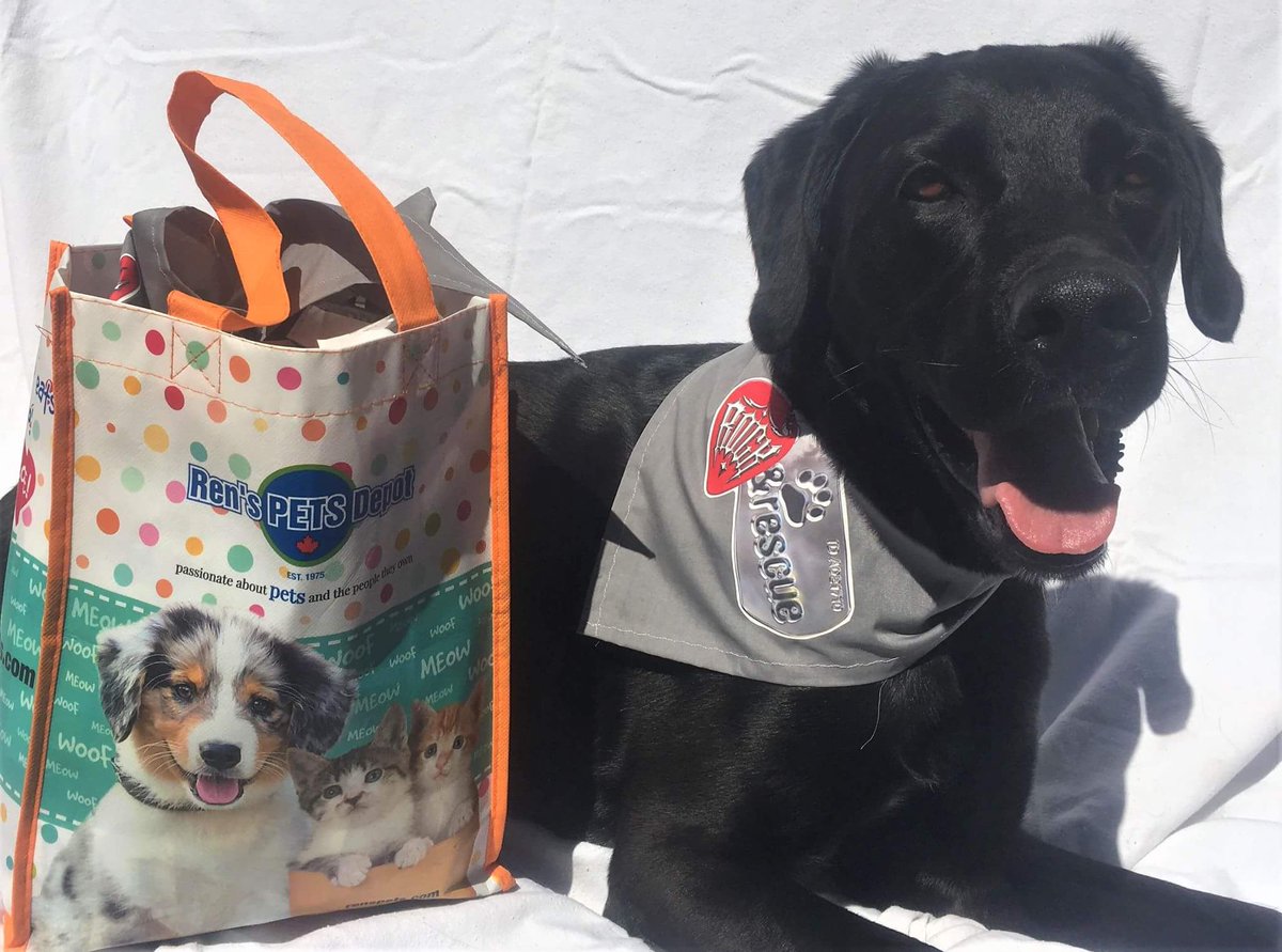 Synder is eager to get into his swag bag!! There are so many great items in this year's bags.  The first 200 people through the door get a jam packed swag bag full of goodies!!! Get your tickets now to the #rescueeventoftheyear 

purplepass.com/#166407/Rock_&…