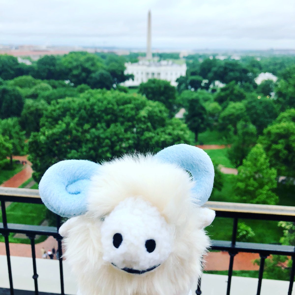 Thanks for tuning in as UNC Kenan-Flagler takes over D.C. Missed the Alumni Breakfast? Watch our Facebook videos. #UNCForAll #unckfalumni #minirameses