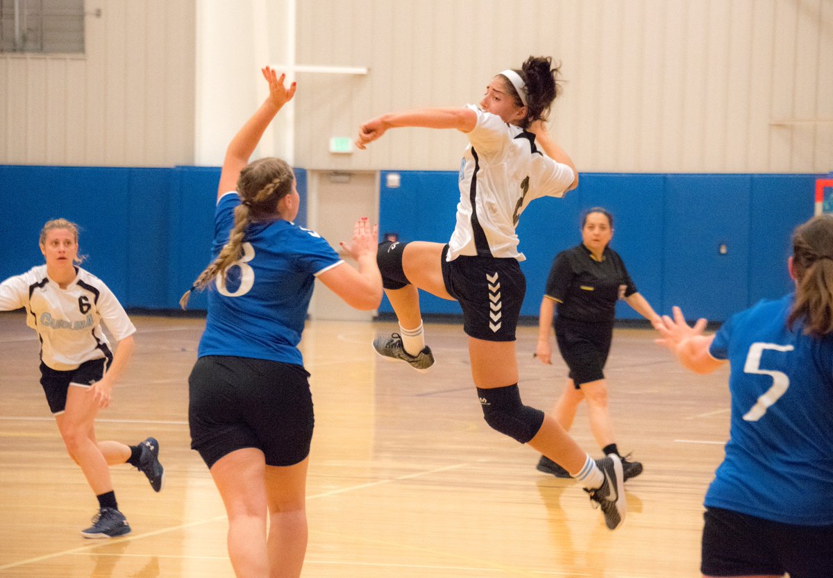 USA Team Handball tweet media