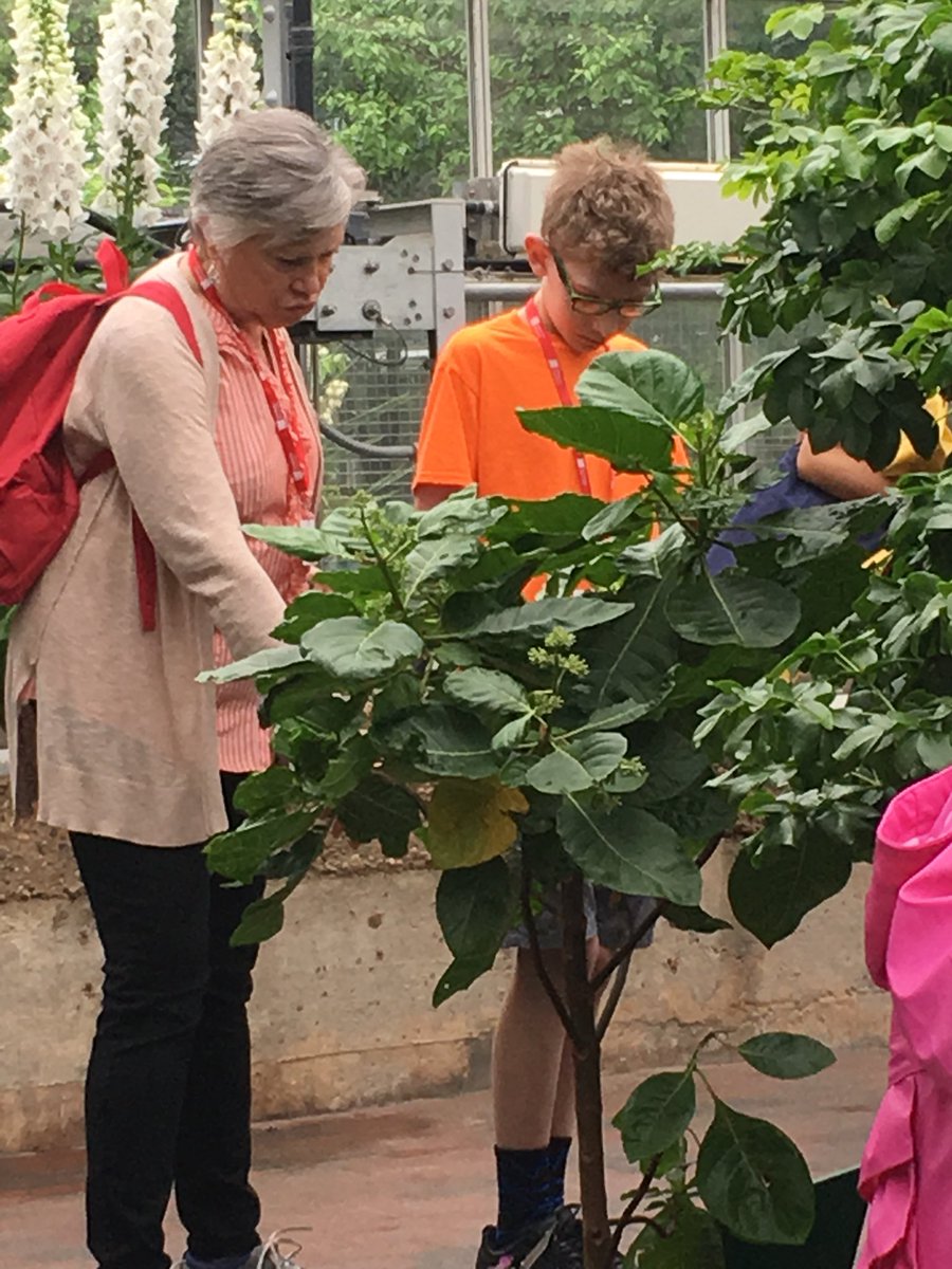 SpringerOGWA's tweet photo. Our final visit in the city was to the US Botanic Garden to connect with nature (while staying dry). #ogwa2018 https://t.co/DRJhUAd4bI
