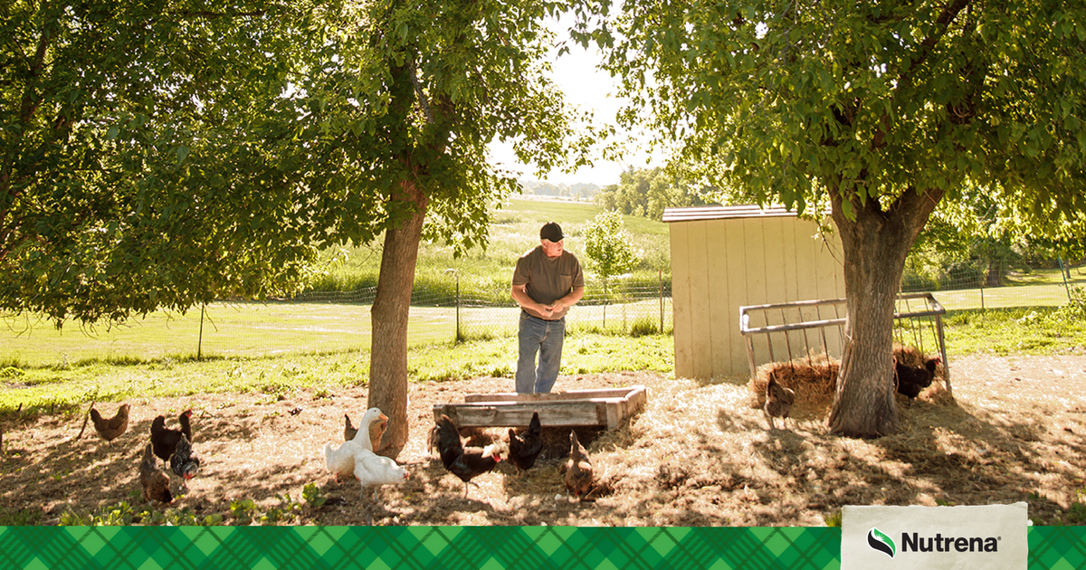 Country Feed Store (CountryFeedSt) Twitter