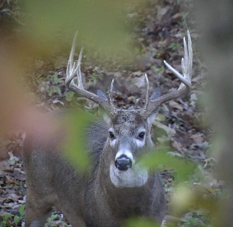 OutdoorObsessor's tweet photo. Can’t wait https://t.co/RmYzGUivEd