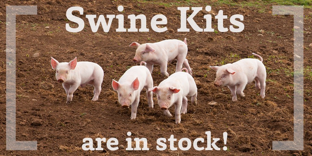 learninglabkits's tweet image. We ran out of Swine Kits for a little while...but they are back! 
🐷🐽🐷🐽
Want to learn more about the #Swine Kits?:
ohio4h.org/books-and-reso…
#LearningLabKits #curriculum #swientist #animalscience #Ohio4H