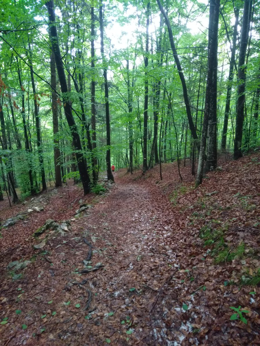 STEFANIAPAVESE's tweet image. .... seguire persone entusiasmanti verso una......destinazion sconosciuta 🌄🌈🌞♻️🏃‍♀️🏃‍♂️🍻
#lutbootcamp #ducoaching