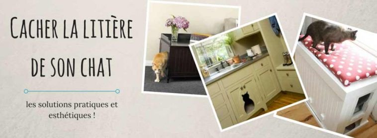 Cacher la #litière de son #chat : toutes les solutions ! goo.gl/db9865