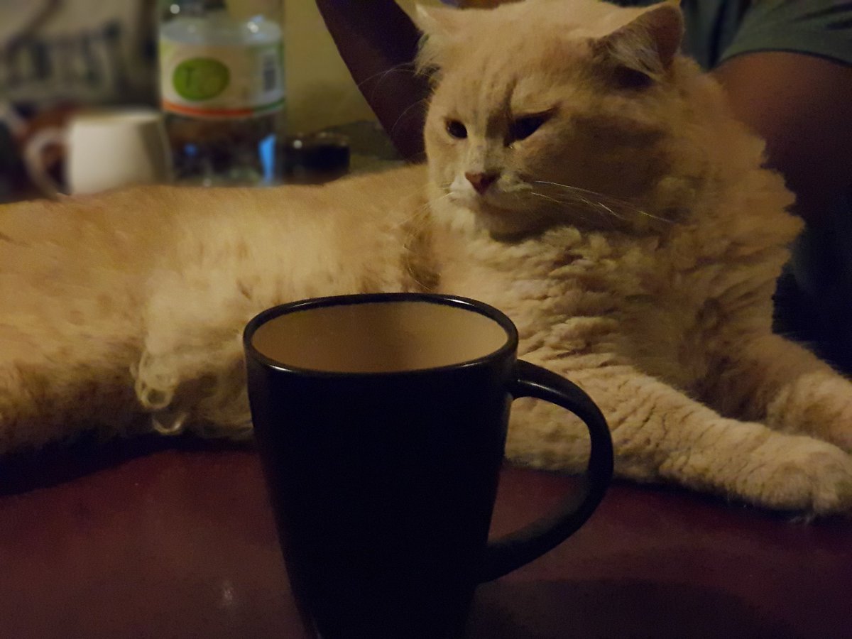 Sharaff__'s tweet photo. Coffee w/ #Fobby @fezu @the_illa and #nichey https://t.co/1233iJoXVG
