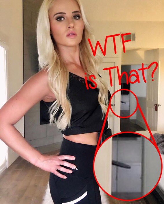 @TomiLahren. 