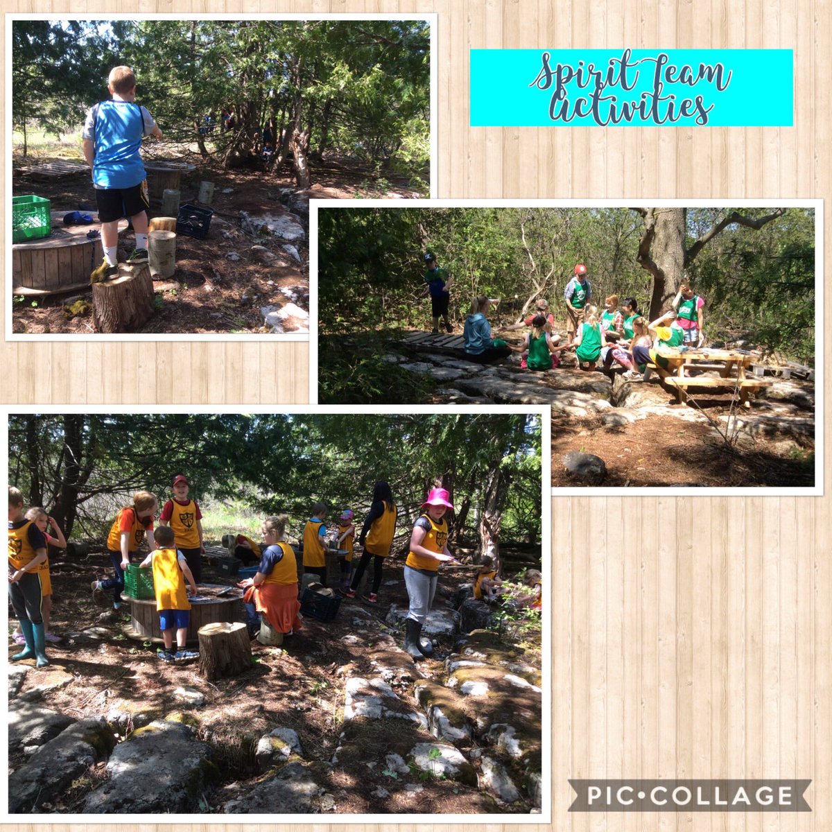 LisaDurepos's tweet photo. We had a great day celebrating #OutdoorClassroomDay yesterday! Spring clean up, garden prep, cleaning out the ditches, shadow tracing and team challenges. @alcdsb_stms #littleschoolbigheart #getoutside https://t.co/RSQHL27ScB