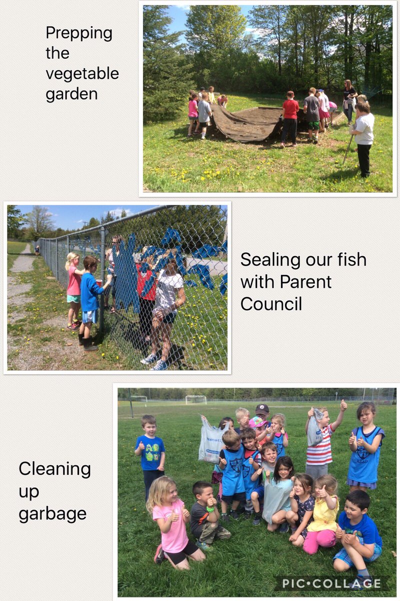 LisaDurepos's tweet photo. We had a great day celebrating #OutdoorClassroomDay yesterday! Spring clean up, garden prep, cleaning out the ditches, shadow tracing and team challenges. @alcdsb_stms #littleschoolbigheart #getoutside https://t.co/RSQHL27ScB