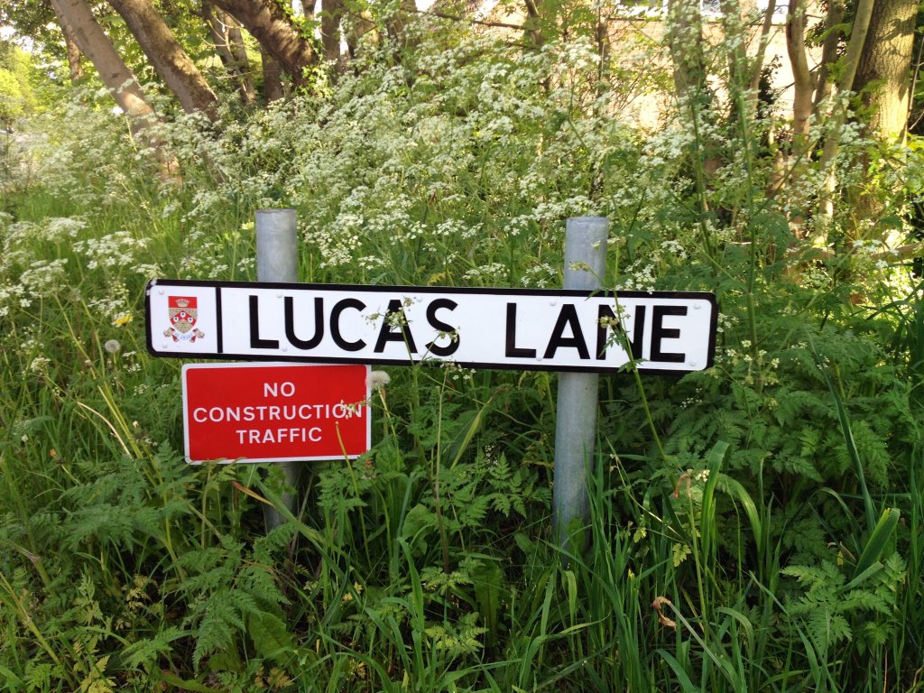 lawt_d's tweet image. Checking up on a #LocalWildlifeSite in Chorley Borough this afternoon - protected by conditions of the 2014 planning consent for the new housing above. #unprotectedsites @Lancswildlife