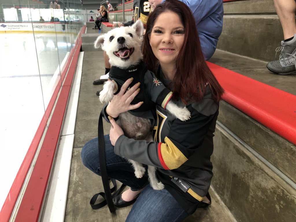 4KBrian's tweet photo. @korik769 finally got to meet her favorite Las Vegas celebrity, @BarkAndreFurry, today at @CityNatlArena for the @GoldenKnights morning skate.  #VGK #VegasBorn #VegasStrong Thanks so much for making a special trip to see us Bark!!!  #GoKnightsGo https://t.co/a6qEfqlVuy
