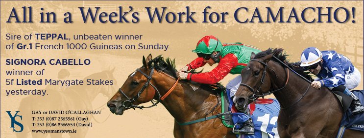 claire_goodad's tweet photo. Winging it's way off to @TheIrishField, success ad for Camacho, what a week he's had! #Teppal #SignoraCabello https://t.co/UbuwvY6k0Y