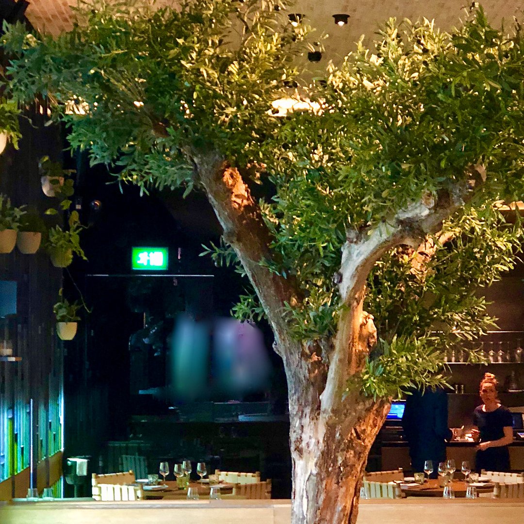 The spring arrived outside. We brought it inside, too.
.
.
.
#Marylebone #London #UK #LondonFood #Food #Foodie #LondonFoodie #Italian #ItalianCuisine #ItalianRestaurant #restaurant #dinner #lunch #menu #olivetree #amalficoast #amalfi #foodphorography