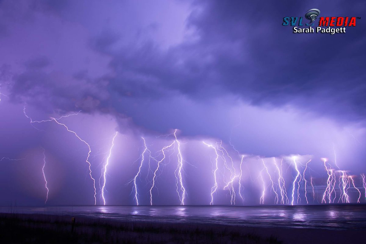 Sarah Padgett tweet media