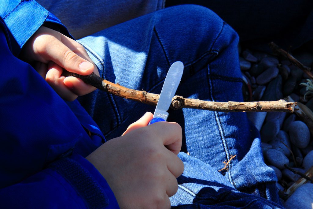 daubeneynature's tweet photo. We've been having so much fun in #DaubeneyFields recently, tree walks, wildlife spotting, socialising. Come along tomorrow for a guided tree walk and learning how to make your own pencil or necklace from elder. Daubeney Fields 4.30-6.30pm. Guided walk starting at 5pm. https://t.co/sGX4QrdsyY
