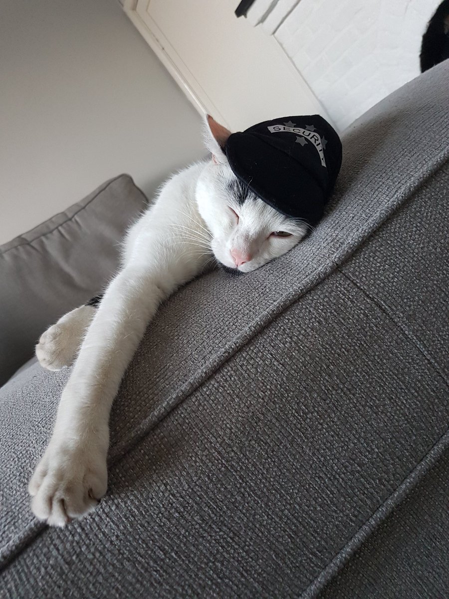 UncubedTech's tweet image. Our securicat sleeping on the job!

#security #cats #FridayFeeIing #BreakTheBox