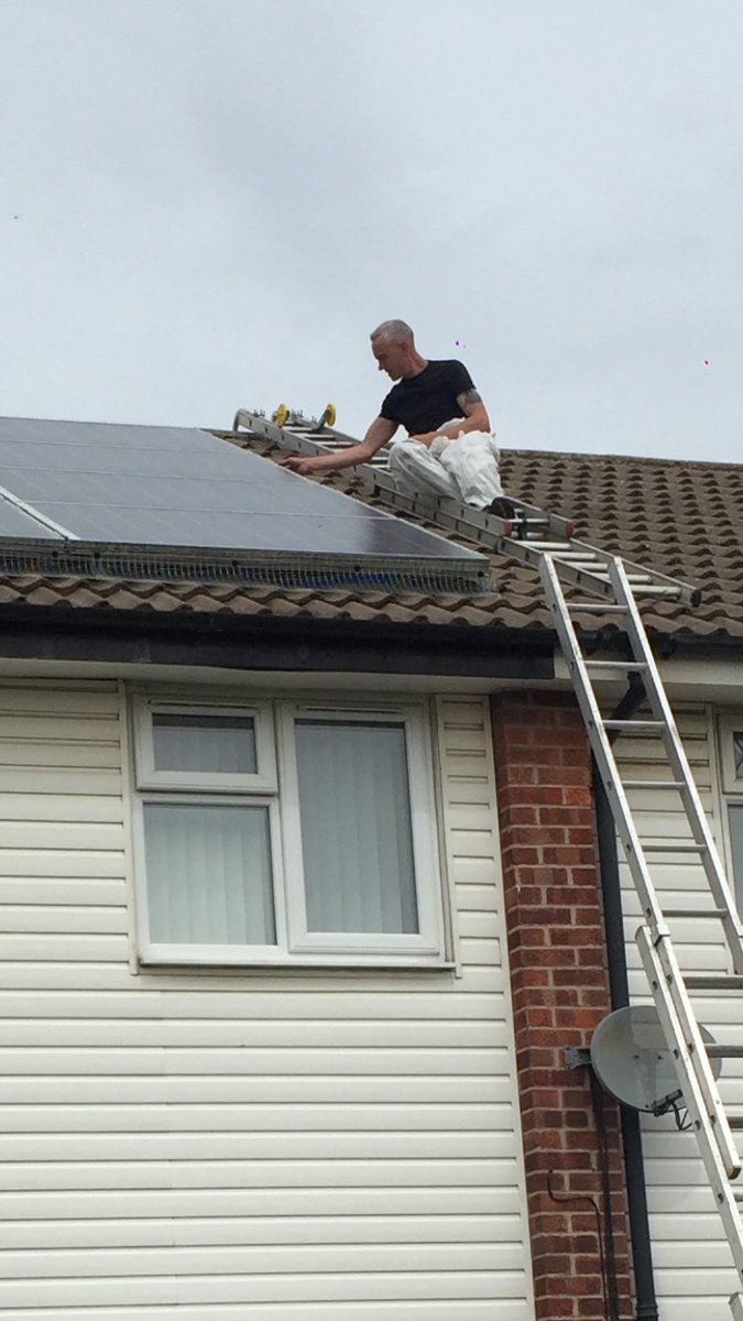 ThePestPeople's tweet photo. Pigeons and squirrels can be a real pest if they decide to move in under your solar panels. 
Get in touch with us for any help or advice. https://t.co/4YriMmaE9Y