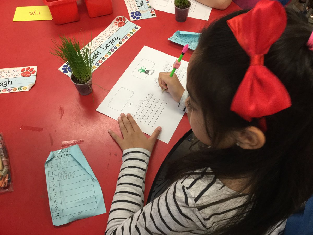 Viola1First's tweet photo. Observing different kinds of grass seed and recording our observations. https://t.co/MIPJxCsDDW