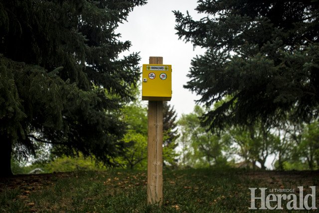 Leth_Herald's tweet photo. Some of today's published photos by @TMartinHerald &amp; @IMartensHerald
#yql https://t.co/yfT3Si9WrK