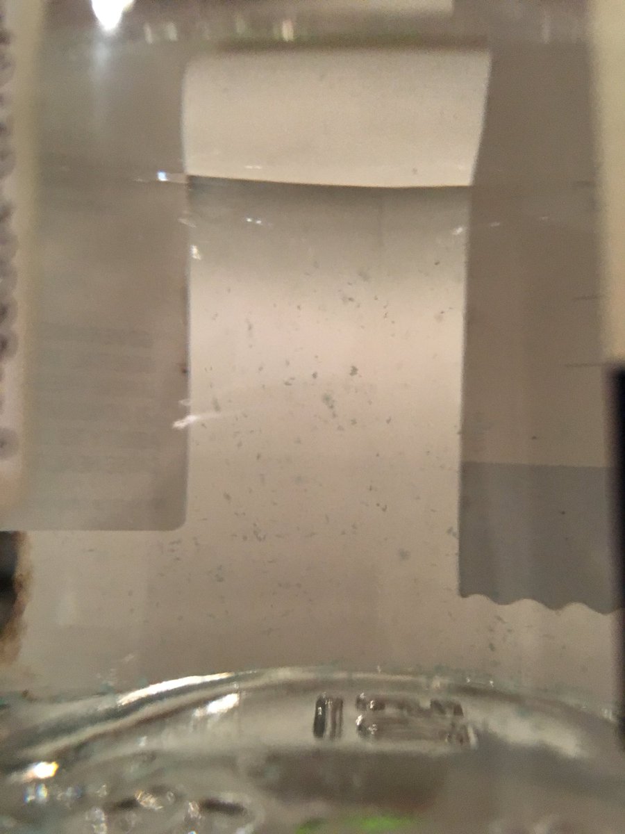 The Spirited Gentleman tweet media