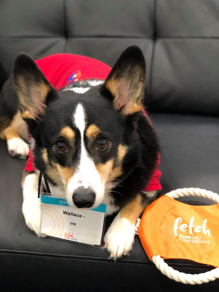 VINCommunity's tweet image. Come visit Wallace at the Online Oasis at @fetchdvm360 in Virginia Beach! Fill out a short survey and you can get the frisbee pictured! Don&apos;t forget to take some pictures with Wallace and tag us on Twitter or Facebook to be featured on our page! #fetchdvm360