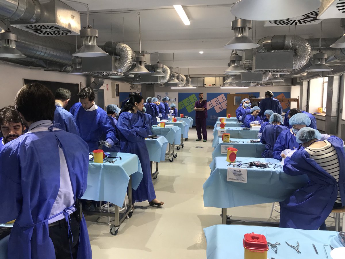 cursosmano's tweet photo. Finalizado el I Curso de disección anatómica y Osteosíntesis de mano y muñeca. Han participado 24 alumnos, en 12 puestos y con una estación de demostración. Disección anatómica, por planos de todo el antebrazo y mano y diversas técnicas de Osteosíntesis con material de Medartis. https://t.co/6m1J1W7GZ6