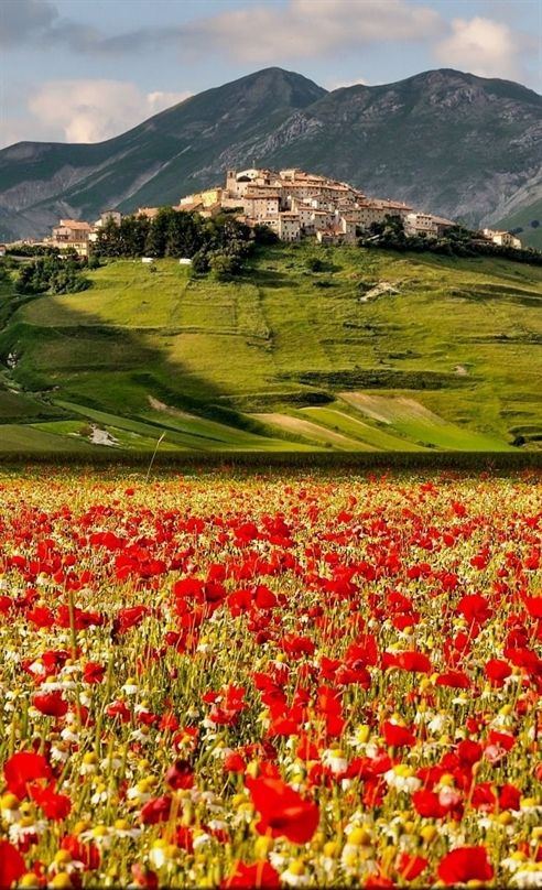 itsmyamazing's tweet photo. Castelluccio, Umbria, Italy 🥀🥀🎋🥀🥀 https://t.co/DlZIQYWBQQ